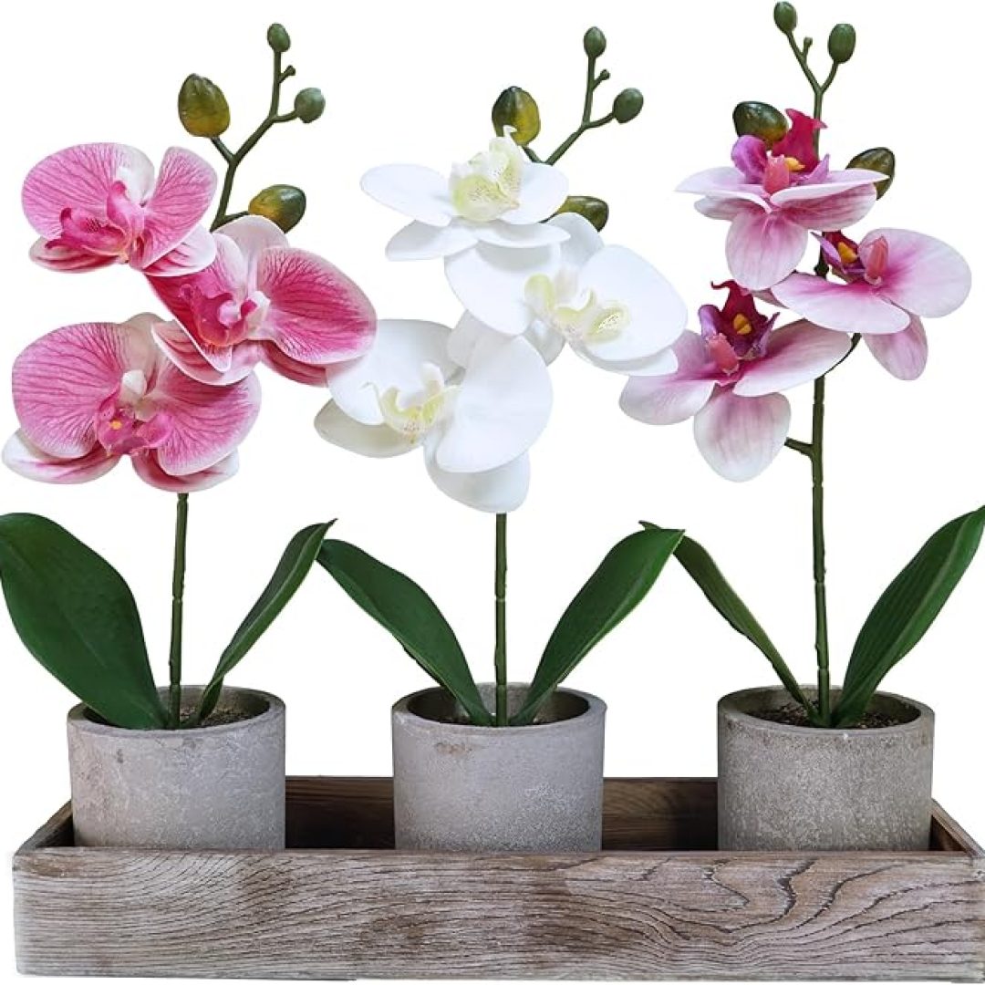 Set of 3 Small Artificial Orchid Potted Plants Arrangement
