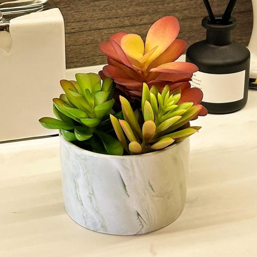 3 Cute Colourful Succulents in Ceramic Planter Fake Plant