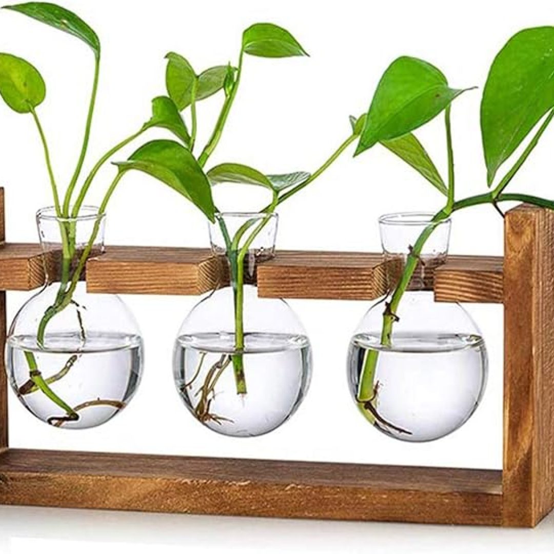 Plant Propagation Station Glass Terrarium Planter Flower Vase