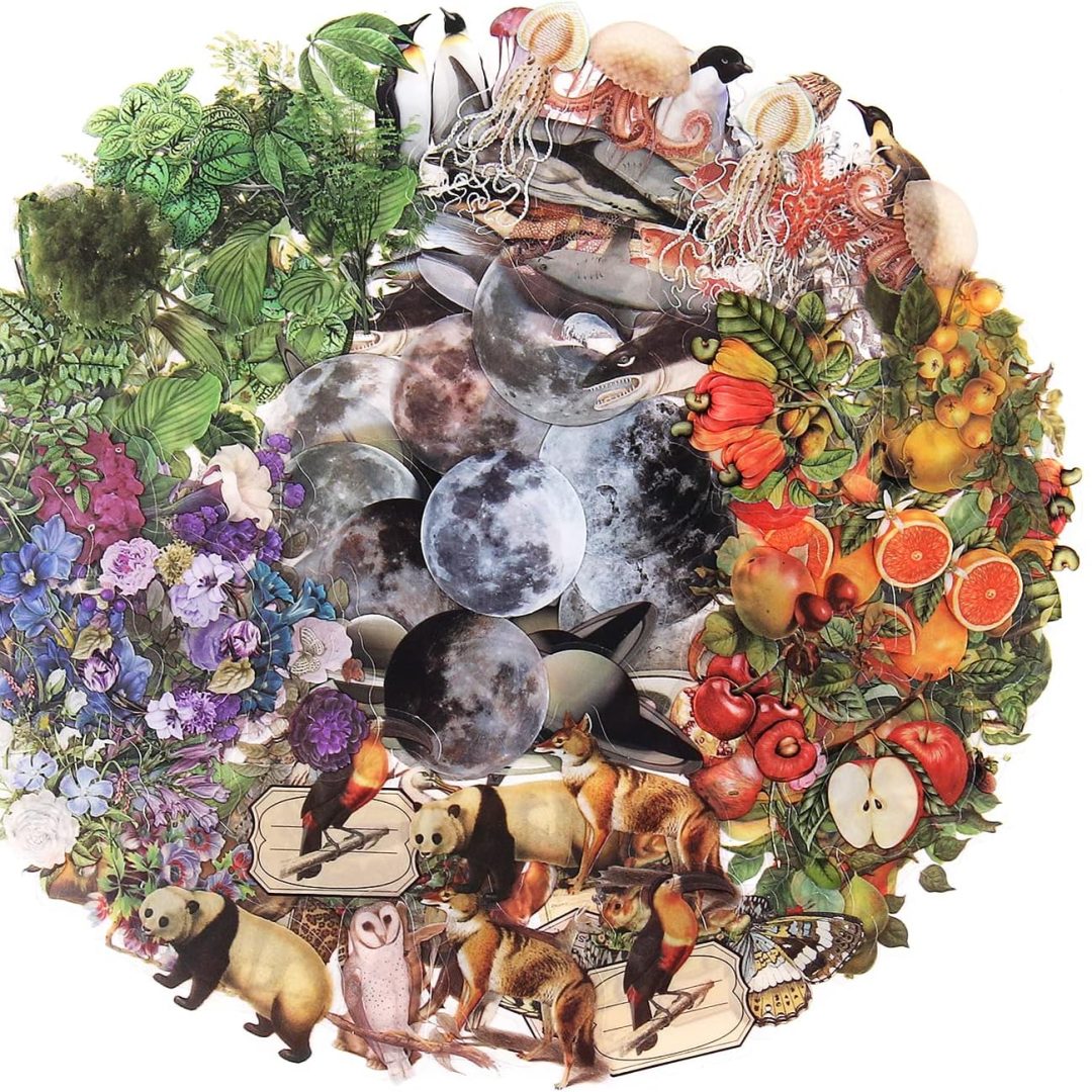240-Piece Nature-Themed Transparent Stickers – Vintage Flora & Fauna Decals for Scrapbooking & Crafts