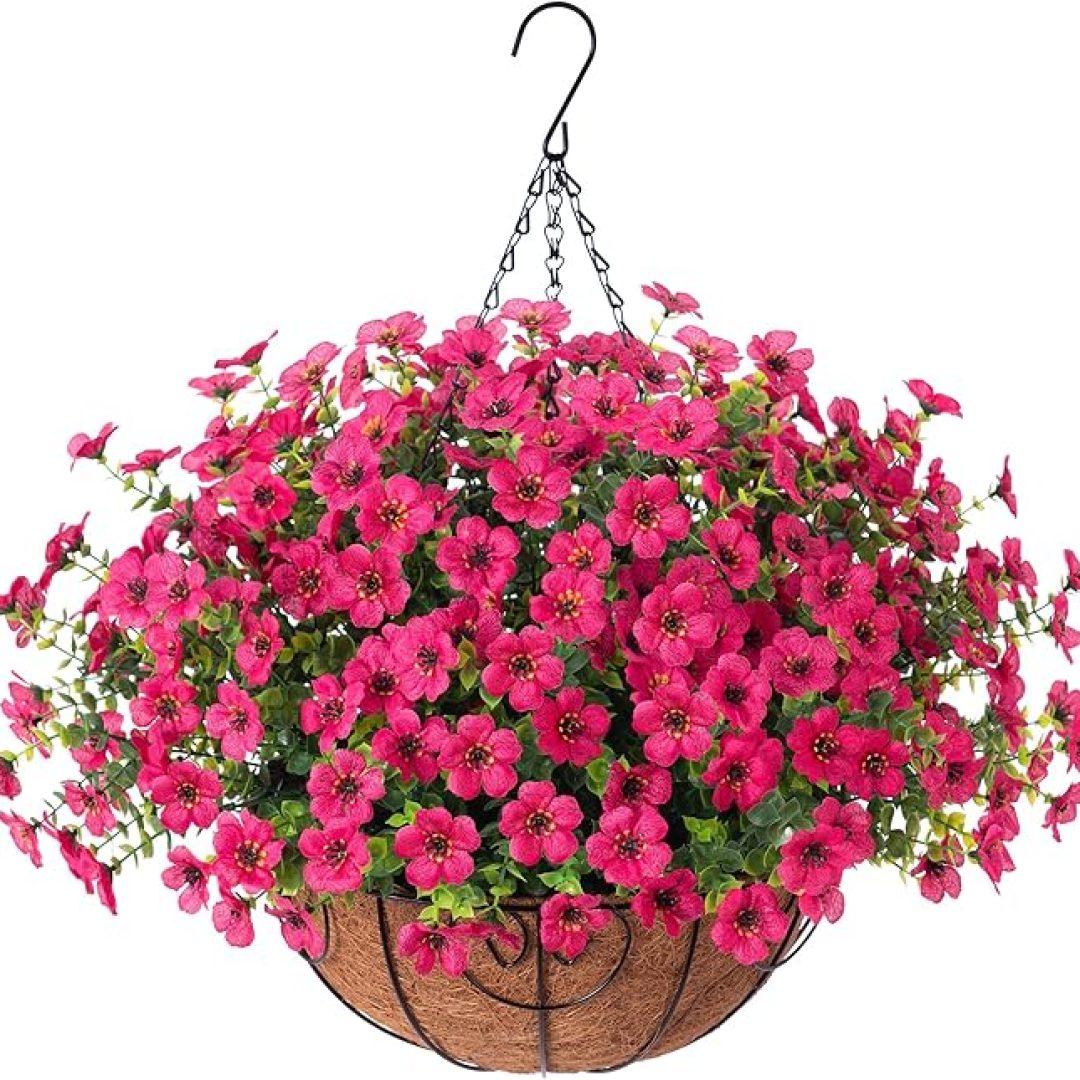 Hanging Plants Flowers Basket for Outdoor